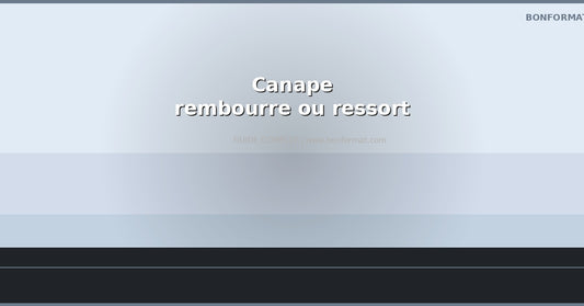 Canape rembourre ou a ressorts : quelle assise choisir ?