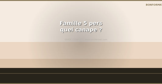 Quel canapé pour un couple ? les meilleurs options confort et style