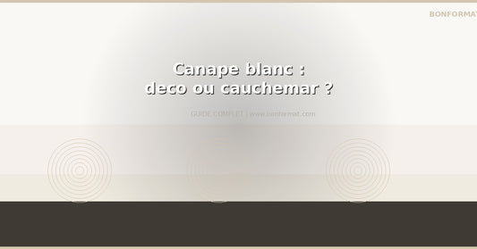 Canape blanc : idee deco ou cauchemar d'entretien ?