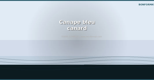 Canape bleu canard : la tendance deco qui dure en 2026