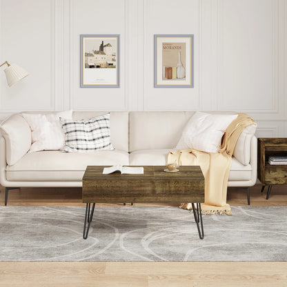WOLTU Coffee Table Double Lifting Plate Sofa Table Height-Adjustable Pull-Out Living Room Table Separate Hidden Storage